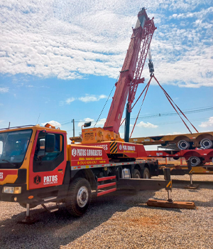 guindaste-patos-guindastes-icamento