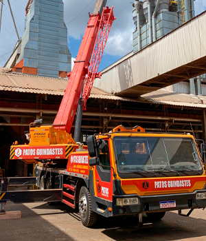 guindaste-patos-guindastes-terrena