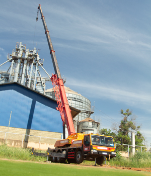 guindaste-patos-guindastes